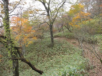 丸山の山腹道