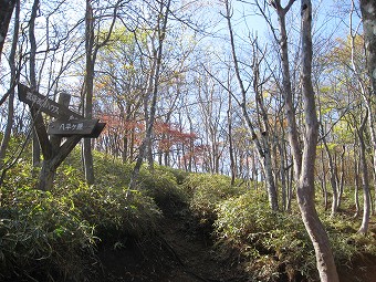 八平ヶ原　分岐