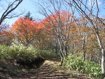 小丸山への道