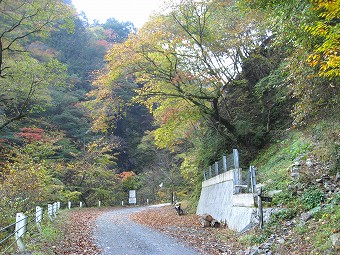 天祖山　登山口