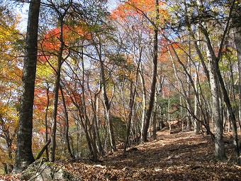 紅葉の平坦道