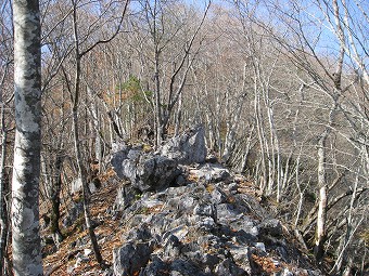 露岩帯