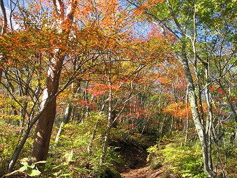 早雲山へ