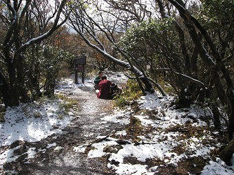 神山　山頂