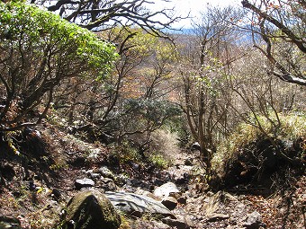 防ヶ沢分岐へ