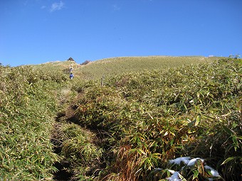 笹原