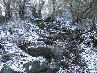 うっすら雪道