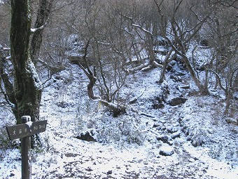 神山へ