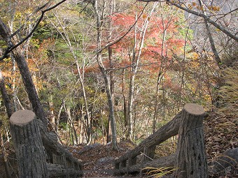 燕岩コース