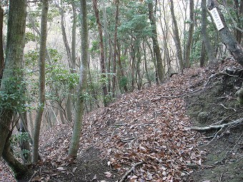 左の尾根に移る