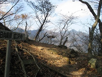 大沢分岐