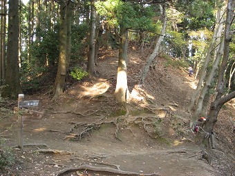 鐘ヶ岳・山神ずい道　分岐