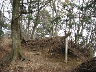 梅ノ木尾根入口