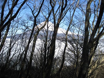 富士山