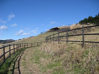 牧草地の休憩舎