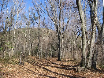 大野山へ