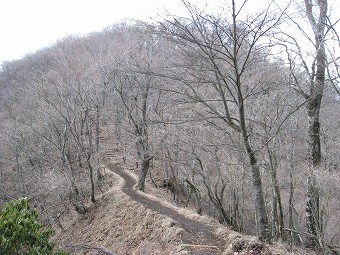 鍋割山稜へ