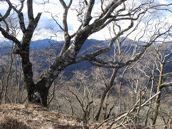 鍋割山荘