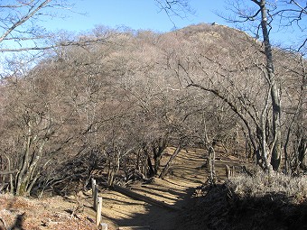 塔ノ岳へ