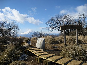 丹沢山から見る富士山