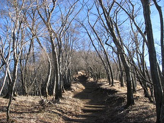 鍋割山稜