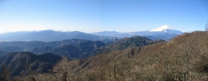 二俣分岐の草地から