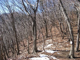 笹子雁ヶ腹摺山へ