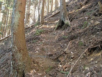 巡視路階段