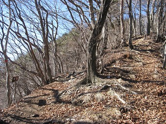 巻き道分岐