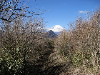 金時山へ