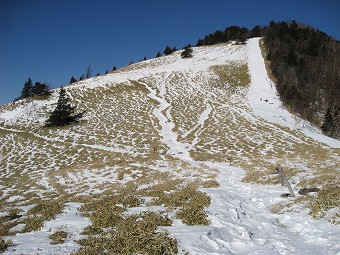 熊沢山