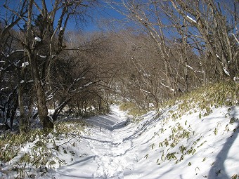 上日川峠へ