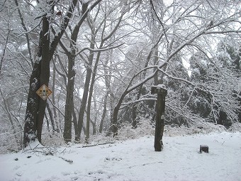 丸山