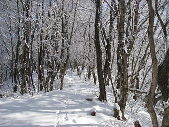 雪道