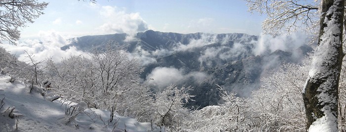 素晴らしい霧氷