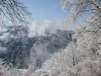 輝く霧氷