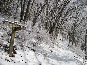 三頭山・西原峠　分岐