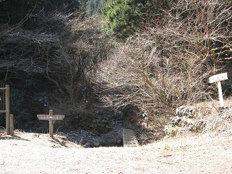 小下沢風景林から