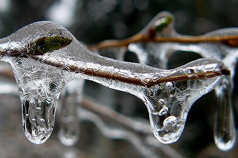 雨氷