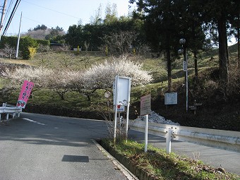 山の花道　⇔　丸山