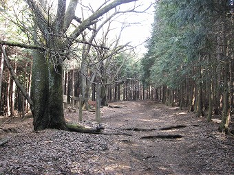 日向山からの道と合流