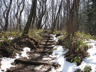 丸山への道