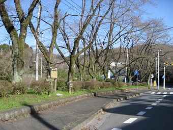 南高尾山稜へ