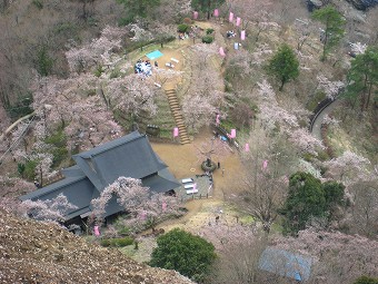 丸山公園