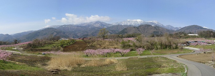 新府桃源郷