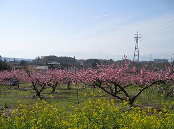 富士山