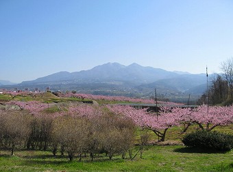 茅ヶ岳