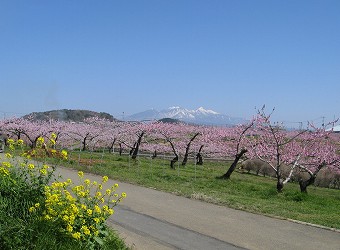 八ヶ岳