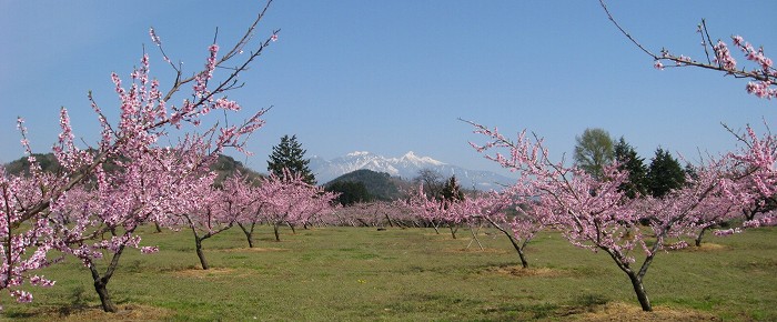 八ヶ岳