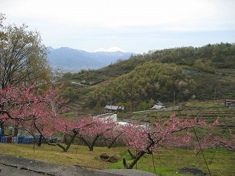 富士山